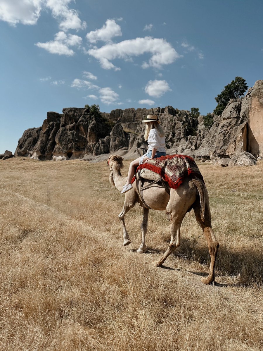ozgeyldz11's tweet photo. 🐫 https://t.co/LxSydYPW7K