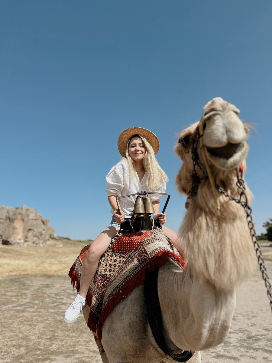 ozgeyldz11's tweet photo. 🐫 https://t.co/LxSydYPW7K