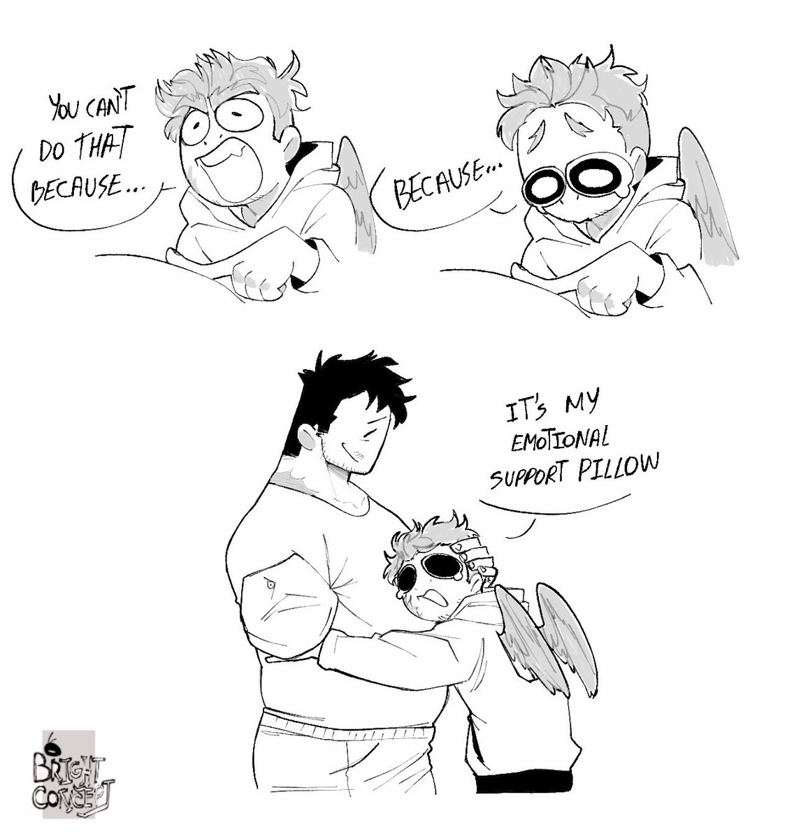 private emotional support pillow 🦅 

#endhawks
#hoen
#enho