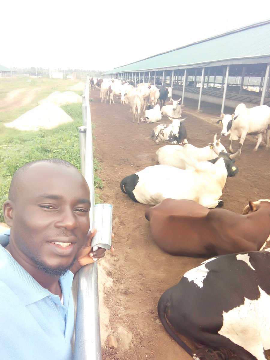 AAAKene's tweet photo. Life is like riding a bicycle, to keep ur balance, u must keep moving.
I convert Animal waste to #Biogas for #cooking and #electricity......
#Manchester #catttle #Waste #keffi #tivtotheworld #BenuetwitterCommumity https://t.co/xXsTVUNAwH