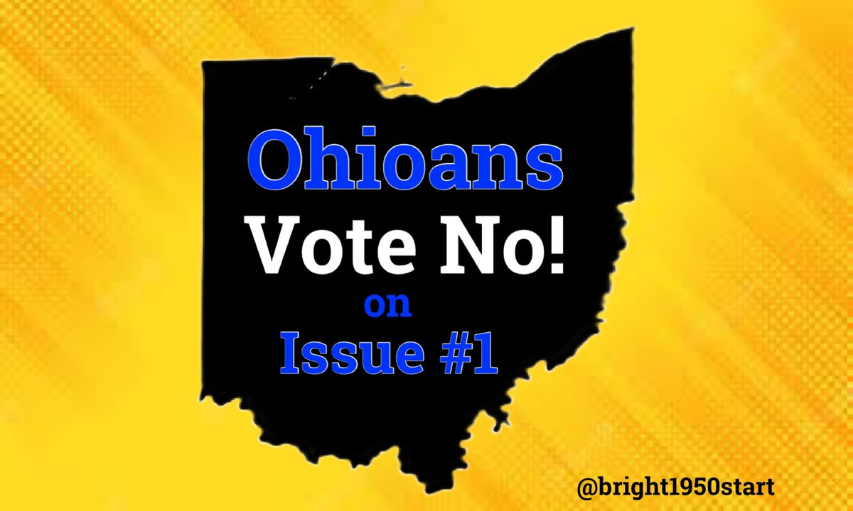 Vote “No” on  Issue 1 
Passage of the resolution results in the lost of Ohioans’ voice and their Democracy. The minority will rule and it will be difficult for the majority of voters to pass amendments
to the Constitution

#DemVoice1 #LiveBlue #ResistanceUnited #OneVoice