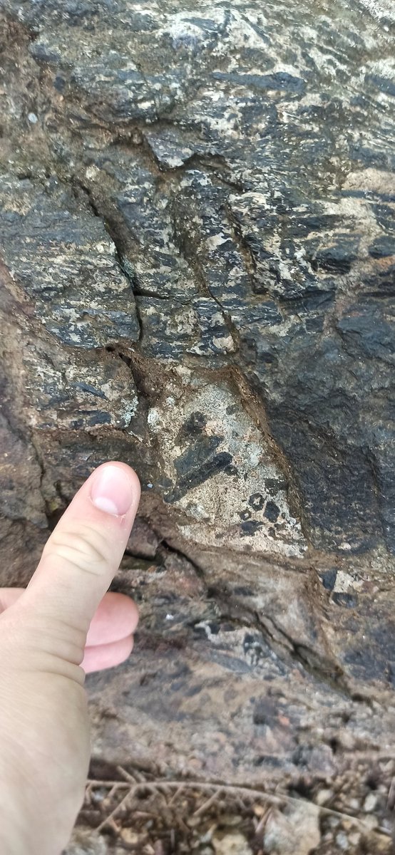 KMilierPhD's tweet photo. Orthopyroxene from Mont-Royal gabbroic intrusion in Montréal, Canada 🇨🇦 #geology #mafic #petrology https://t.co/xegAyr29Ve