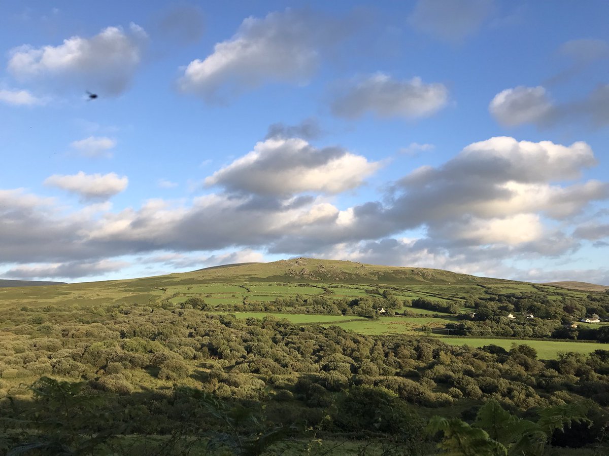 KateYells's tweet photo. Sourton tor is soaking up the sun this evening after a soggy day #dartmoor #devon #britishsummer @dartmoornpa https://t.co/iYu5DYdkgP