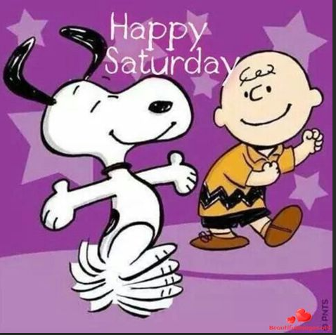 PondsatGTown's tweet image. Happy Saturday!! Hope everyone finds time to dance. #apartmentliving #learntodance #happySaturday #pondsatgeorgetown #lovewhereyoulive