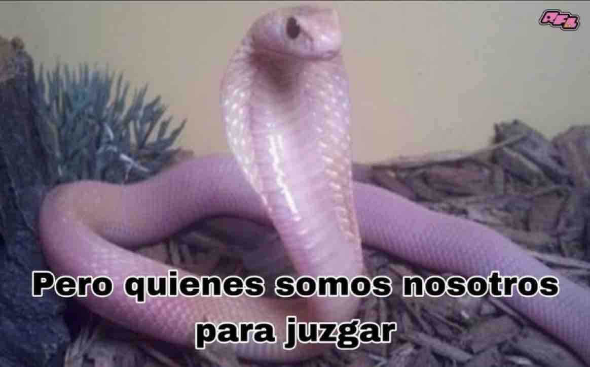 Guarromantico_'s tweet photo. Después de criticar a medio mundo con mi amix. https://t.co/oC6a03IfpI
