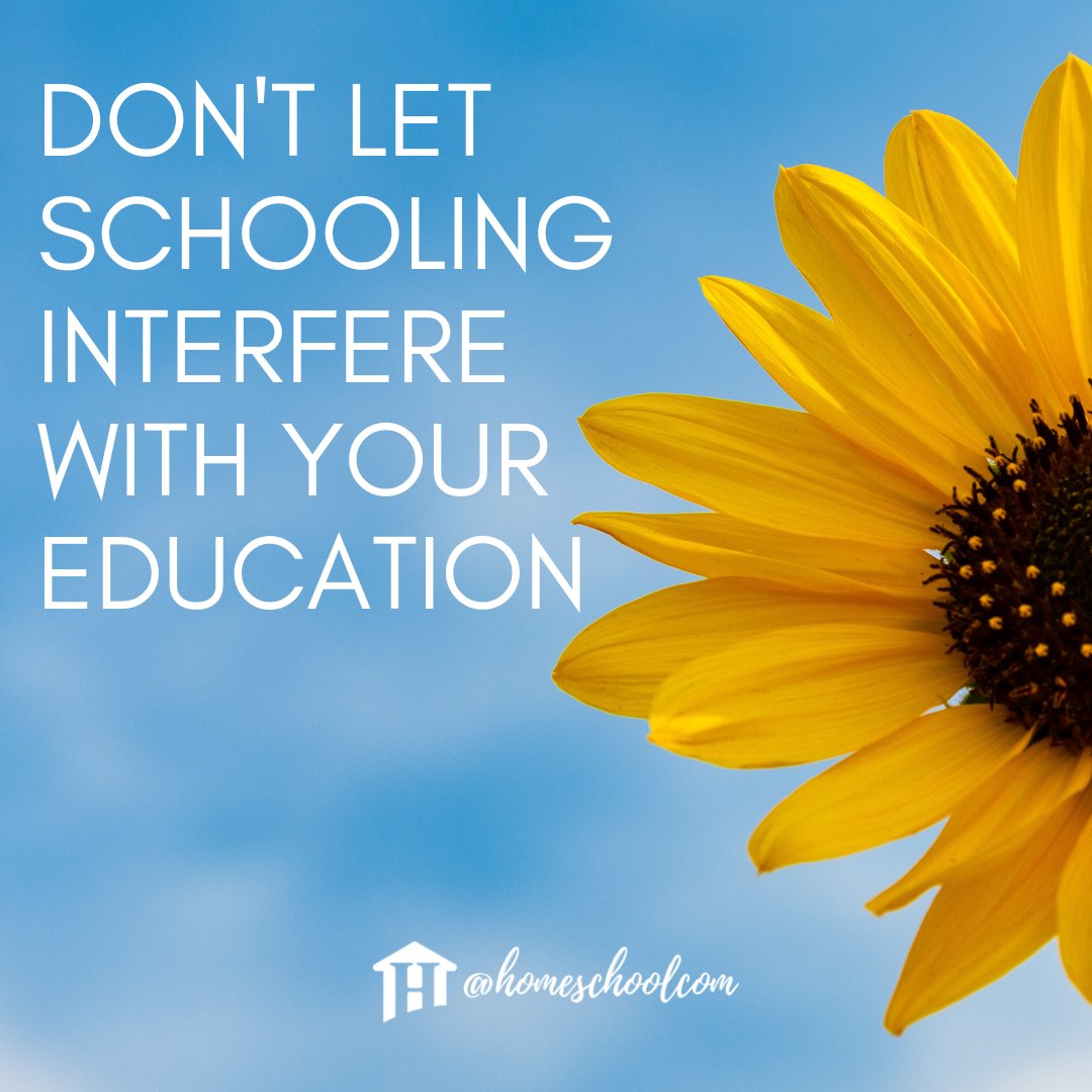 #sunflowerday #education