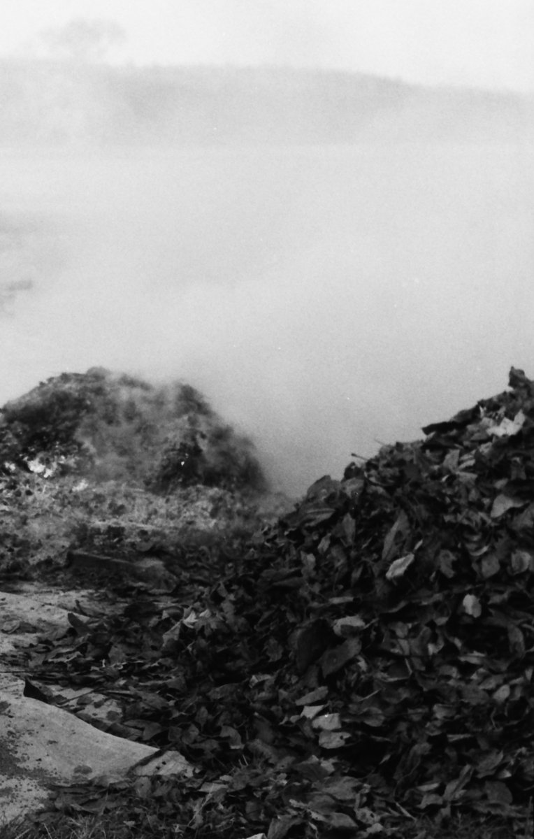 #fomapan #monochrome #analog #blackandwhite