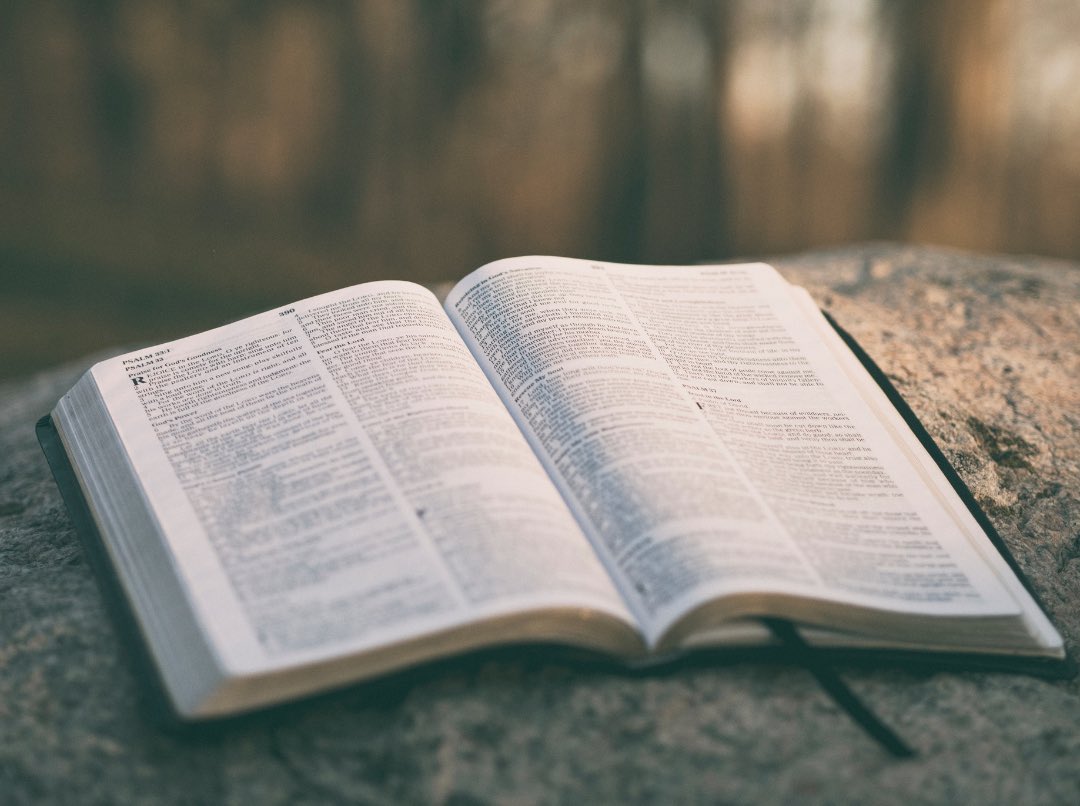 rugged_pursuit's tweet photo. If you are like most Christians, you probably feel like you should be reading your Bible more often. You are not alone!

“3 Tips for Reading the Bible More Consistently” 8-5-23

https://t.co/4Rnx3gSFtt

#ruggedpursuit #3tips #tips #biblereading #scripture #readingplan #blog https://t.co/HVUiNdEMio
