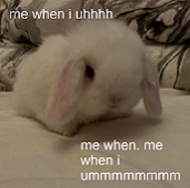 ✧ (@northstardoll) on Twitter photo 