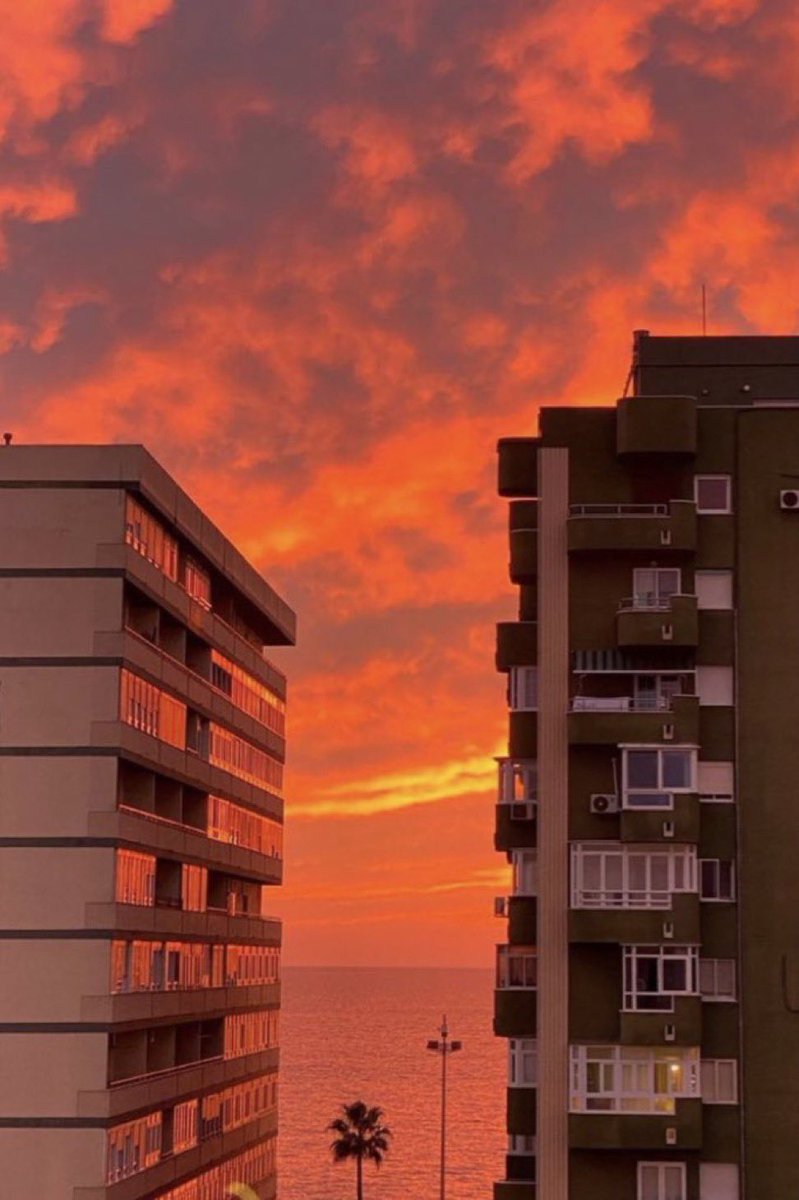 mi amor por los atardeceres es indescriptible