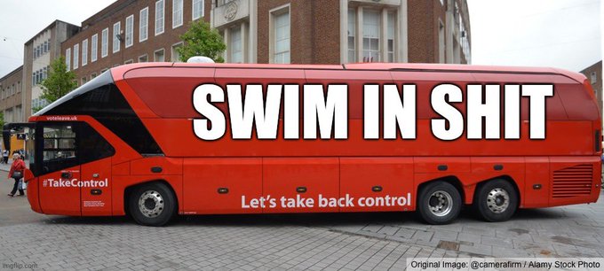 #TorySewageParty Vote Conservative for this 💩
