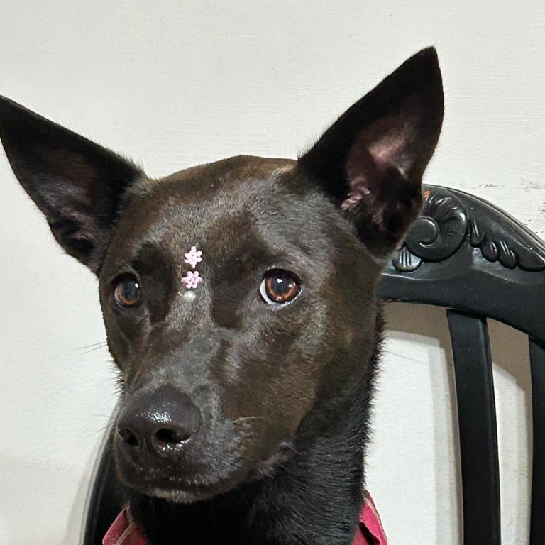 Estefierrito tweet media