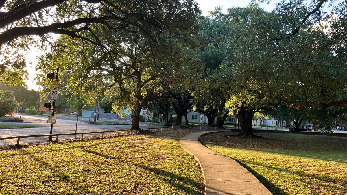 willthewordguy's tweet image. #summer #evening #sweltering vibes