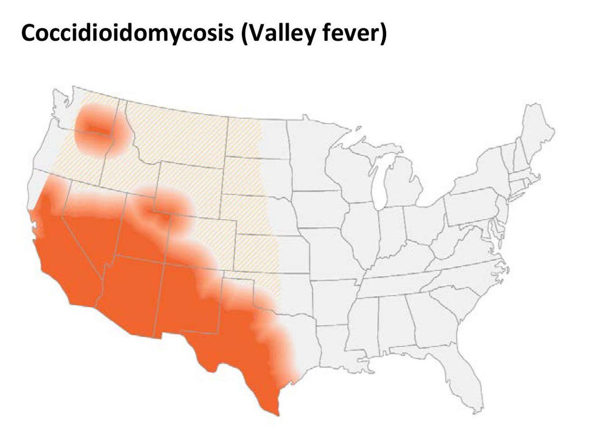 >500,000 Americans could be sickened each year by #ValleyFever, caused by breathing the soil-borne fungus #Coccidioides, & climate change could be helping the fungus spread, according to @CDCgov cbsnews.com/news/valley-fe… #coccidioidomycosis