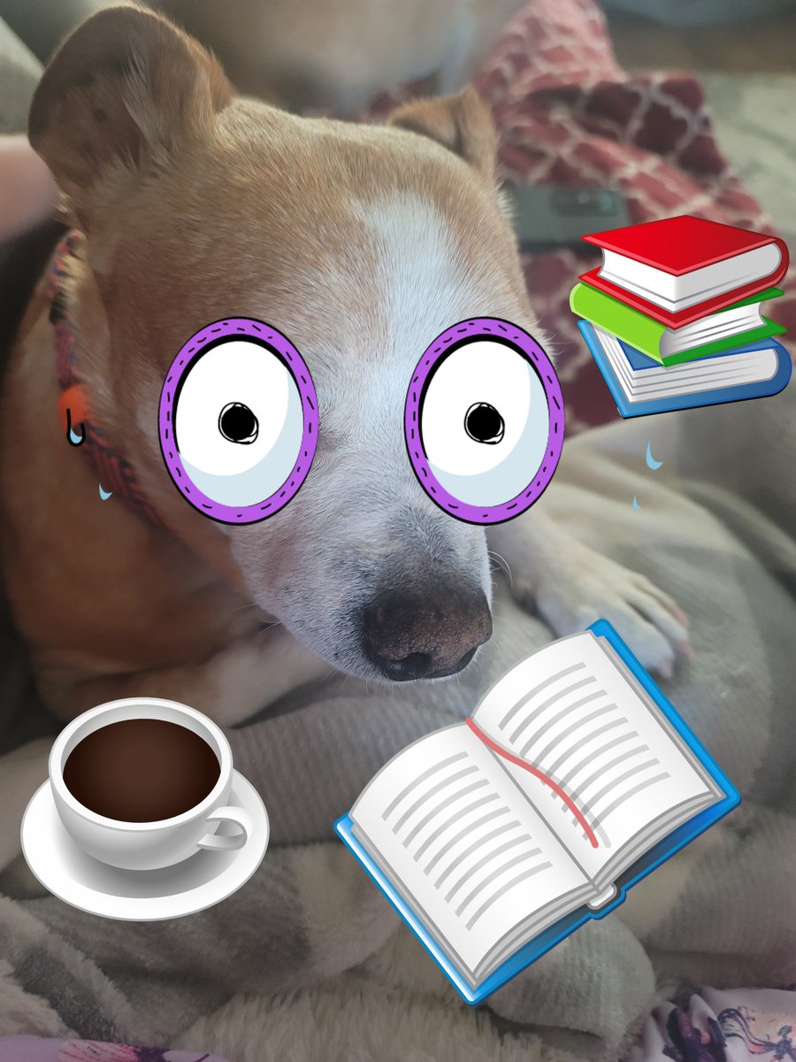 Rachmtbs (@rachmtbs) on Twitter photo 