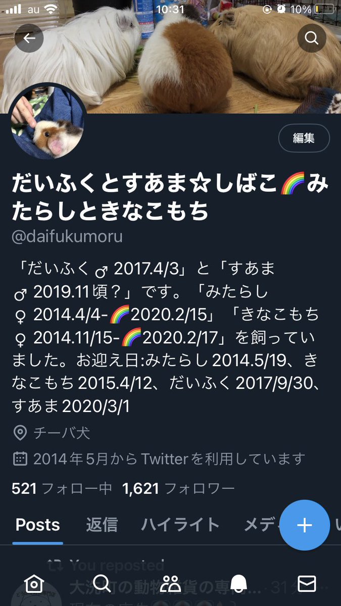 しばこ︎✿·͜· tweet media