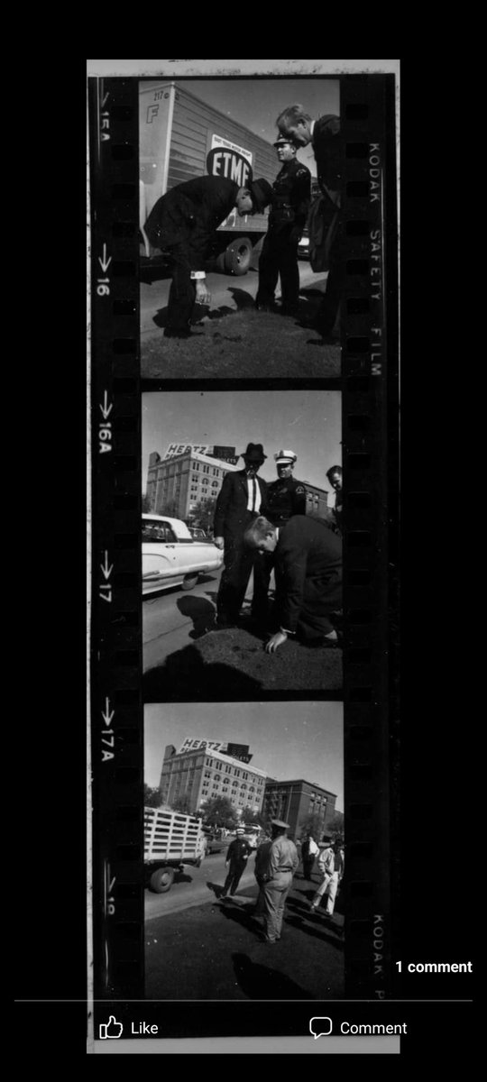 MiceFightingGorillas (@micevsgorillas) on Twitter photo 