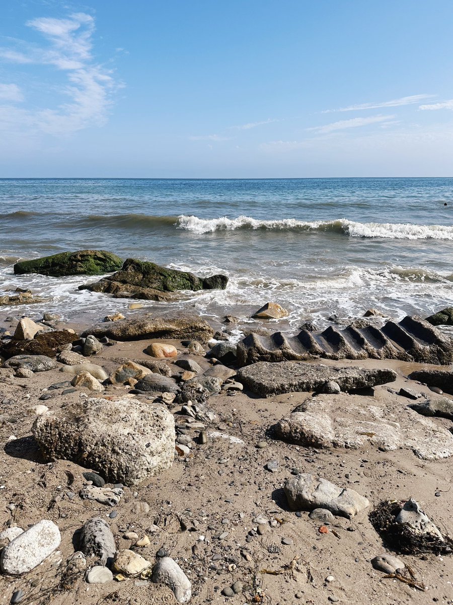Allison Kann (@apkann) on Twitter photo Saying goodbye to Santa Barbara and <a href="/KITP_UCSB/">Kavli Institute for Theoretical Physics</a> after two incredible weeks of exciting science, thought-provoking conversations, and lots of good company. ☀️ Saying goodbye to Santa Barbara and <a href="/KITP_UCSB/">Kavli Institute for Theoretical Physics</a> after two incredible weeks of exciting science, thought-provoking conversations, and lots of good company. ☀️