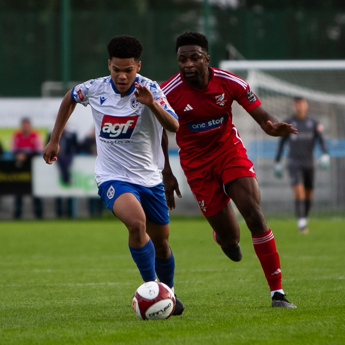 GAFCSupporters's tweet photo. 🦁 | Pre-season wasn't bad was it!

🙌 6-1 v Thackley
🙌 1-0 v Spennymoor
🙌 1-0 v Scarborough
🤝 1-1 v Farsley
🙌 2-0 v Avro
🙌 2-0 v Brighouse

It all starts on Saturday with a trip to Hyde.

#GAFC #GuiseleyTogether https://t.co/pKOtMJ0OIs