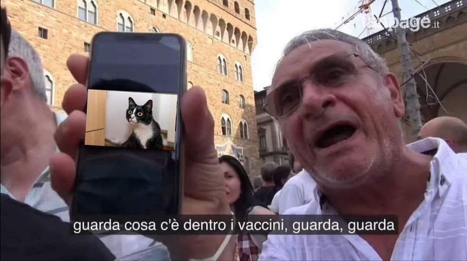 Non sono Cinzia tweet media