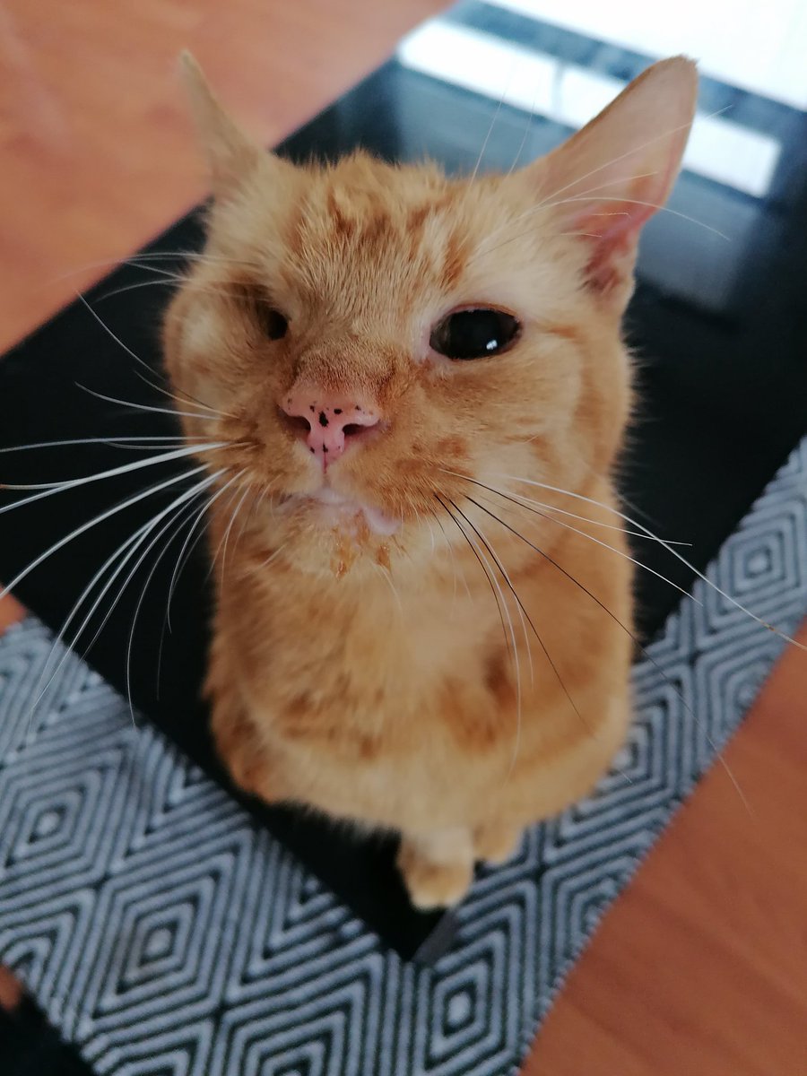 Charlotte Rigby tweet media