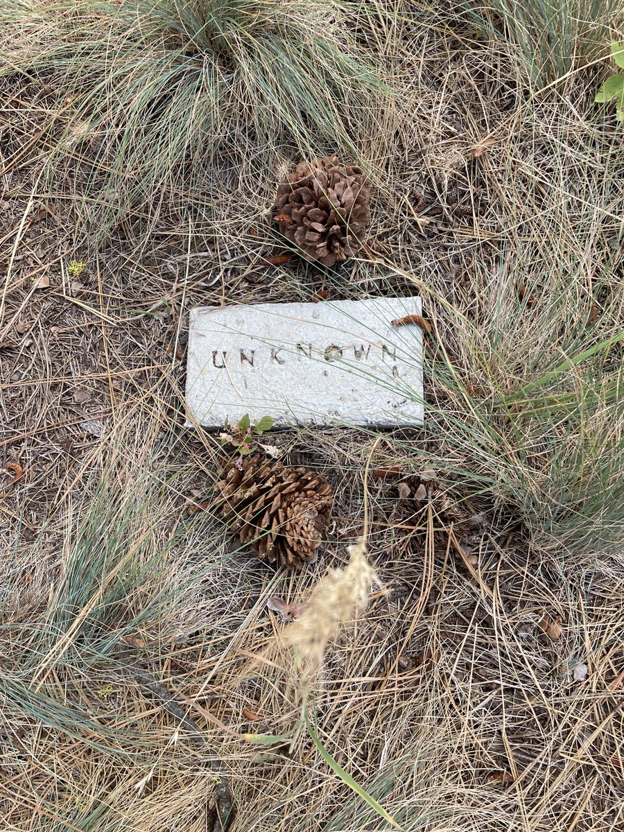 Keith Ridler tweet media