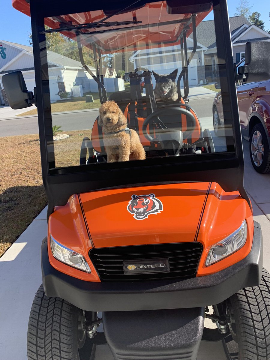 loriswearingen's tweet photo. @moose196850 Go get ‘em bengals.  I am cheering for you!!  Got our golf cart sporting the bengals gear all ready!! https://t.co/TR1H3KAQri