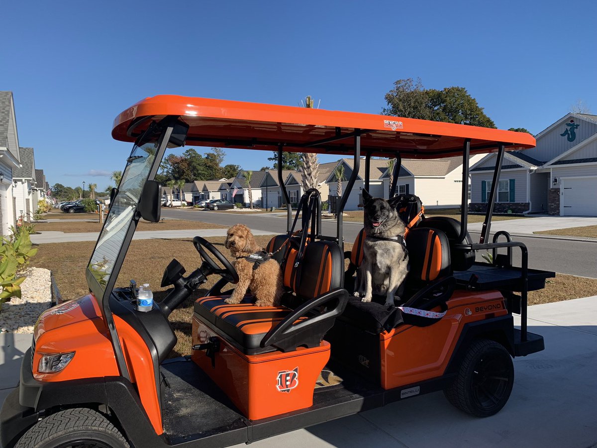 loriswearingen's tweet photo. @moose196850 Go get ‘em bengals.  I am cheering for you!!  Got our golf cart sporting the bengals gear all ready!! https://t.co/TR1H3KAQri
