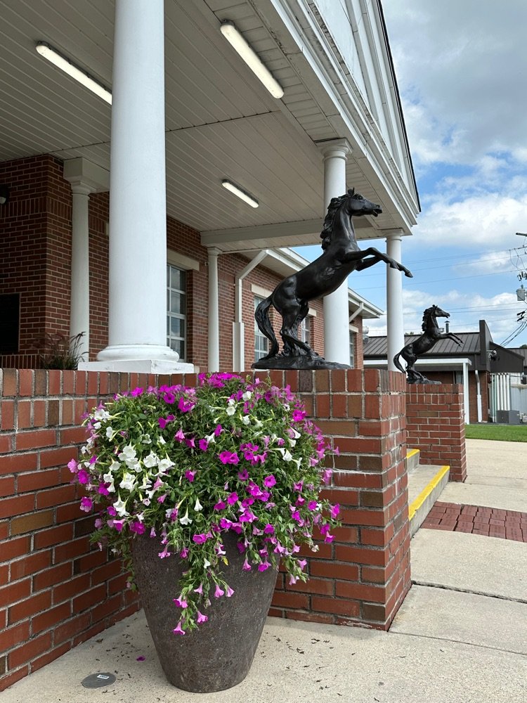 HollyPondHigh's tweet photo. We would like to thank Gibbs Garden Center for generously donating a cartload of plants and a pair of super nice planters to spruce the school up before open house! IT'S A GREAT DAY TO BE A BRONCO!! https://t.co/b2NpY4Uwku
