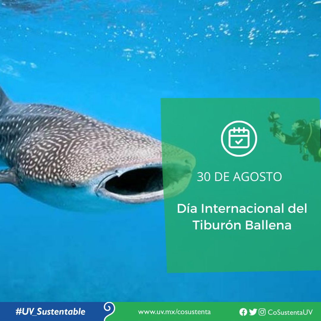 CoSustenta UV tweet media