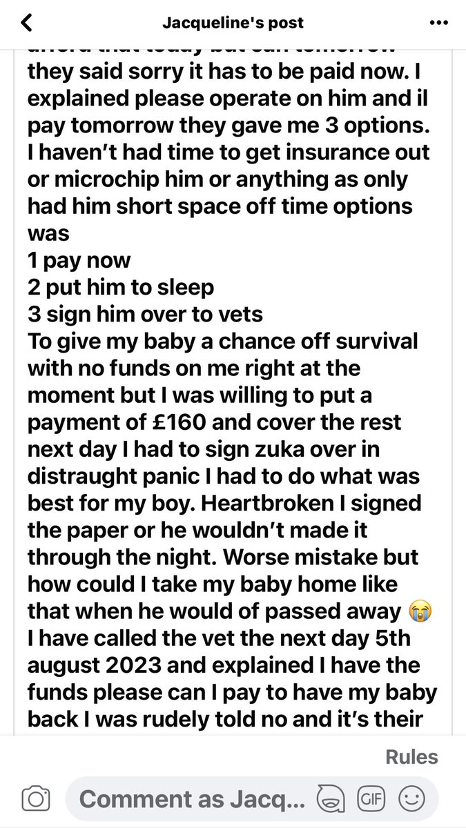 JacquiSaid's tweet photo. Please read 😡😡😡😡#VetsNow  #Farnham #surrey #Help #Givepuppyback @MissingPetsGB @VetsNowUK @rosieDoc2 @juliagarland73 https://t.co/vmrO5xFvqv https://t.co/OtKtdRLHNO
