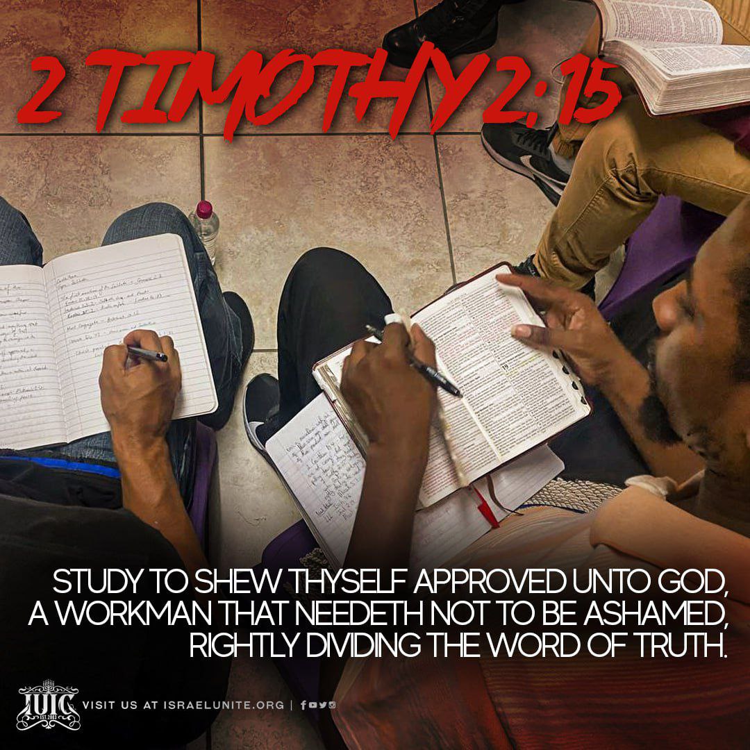 To Study, Pray and Apply is our ticket to getting The Kingdom!⚡️👑
.……………………………………
Visit our website here 💻👨🏾‍💻🖥
🔴 solo.to/unitedinchrist

#IUICBahamas #IUICFreeport #ScatteredIslands #IUICStKitts #Barbados #Israelites #CaribbeanTakeover