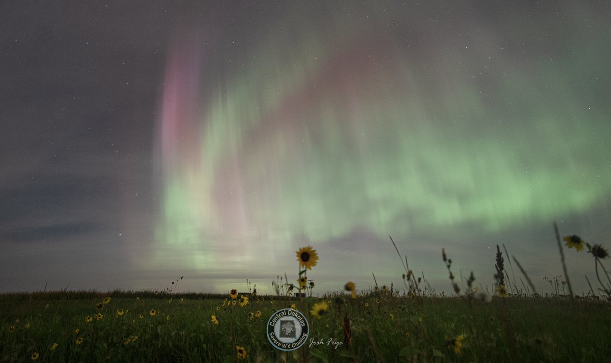 CentralDakSWXC's tweet photo. Last night aurora made its return and despite a few flys in the ointment(Clouds at first then a rising moon) it turned out well! Near Antler, North Dakota 8/5/2023 #auroraborealis #Aurora #ndwx #northernlights #capturend #nd #moonlight @TamithaSkov https://t.co/hKFJ1gEZVr
