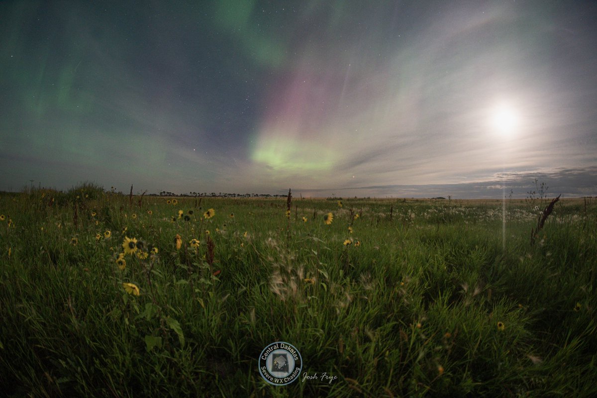 CentralDakSWXC's tweet photo. Last night aurora made its return and despite a few flys in the ointment(Clouds at first then a rising moon) it turned out well! Near Antler, North Dakota 8/5/2023 #auroraborealis #Aurora #ndwx #northernlights #capturend #nd #moonlight @TamithaSkov https://t.co/hKFJ1gEZVr