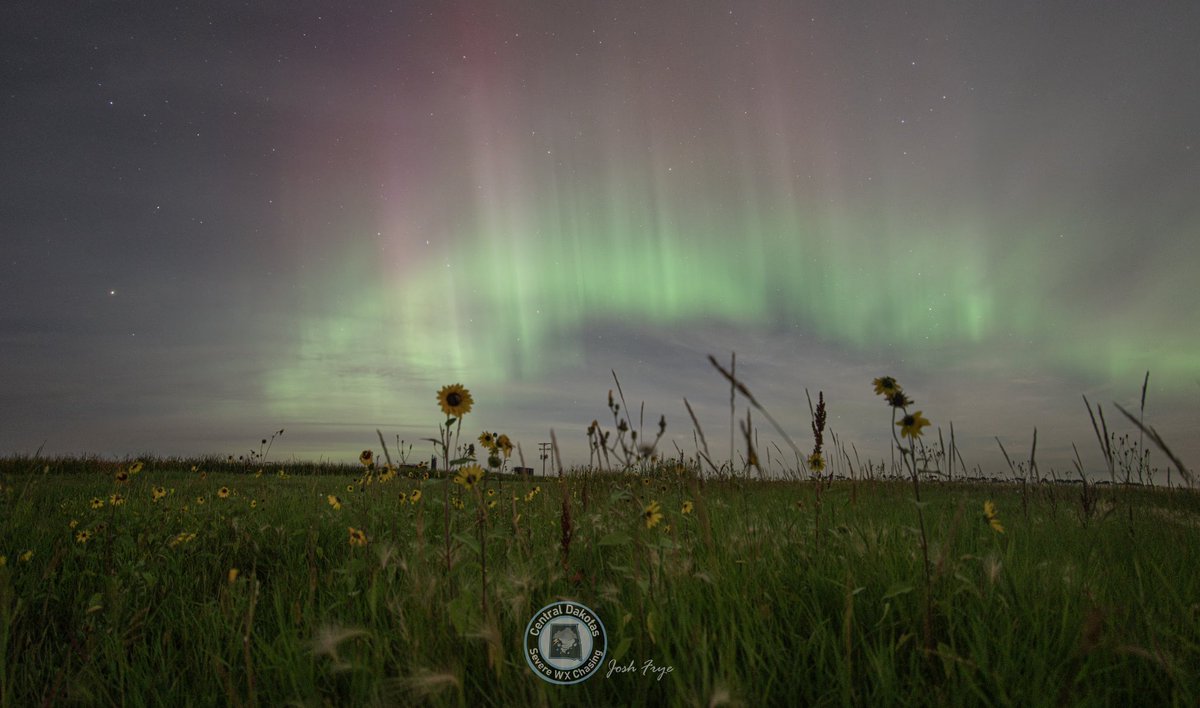 CentralDakSWXC's tweet photo. Last night aurora made its return and despite a few flys in the ointment(Clouds at first then a rising moon) it turned out well! Near Antler, North Dakota 8/5/2023 #auroraborealis #Aurora #ndwx #northernlights #capturend #nd #moonlight @TamithaSkov https://t.co/hKFJ1gEZVr