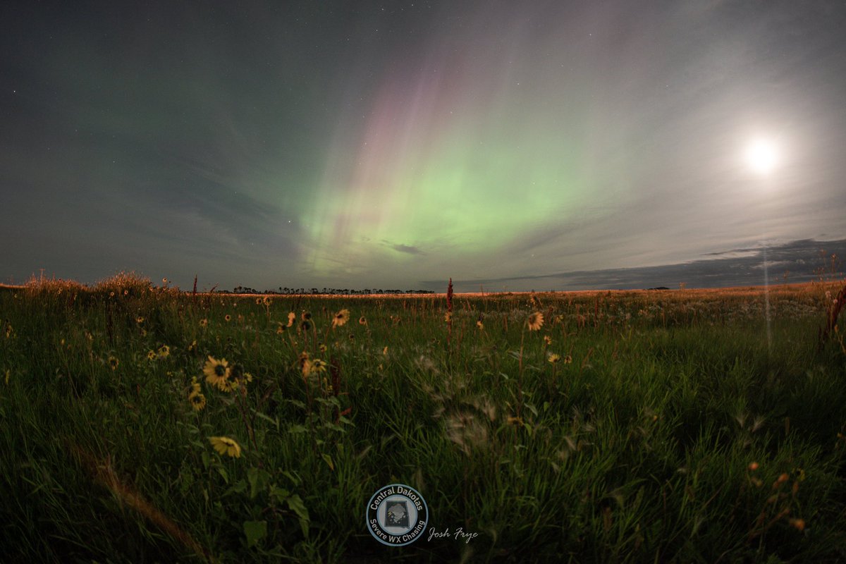 CentralDakSWXC's tweet photo. Last night aurora made its return and despite a few flys in the ointment(Clouds at first then a rising moon) it turned out well! Near Antler, North Dakota 8/5/2023 #auroraborealis #Aurora #ndwx #northernlights #capturend #nd #moonlight @TamithaSkov https://t.co/hKFJ1gEZVr