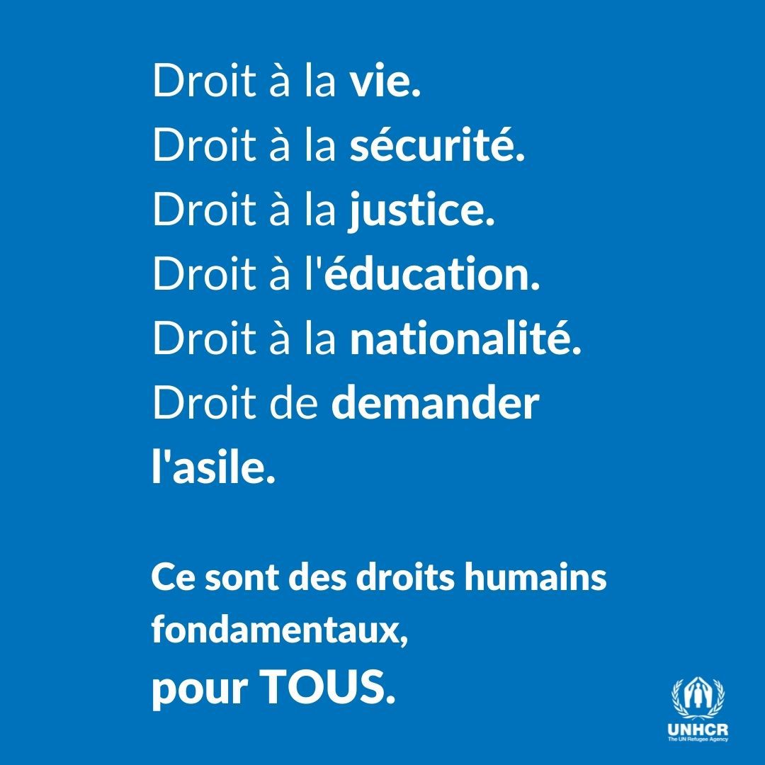 ONU_fr's tweet photo. Les droits des réfugiés = des droits humains. 

@le_hcr mène une action internationale pour protéger les personnes déracinées. https://t.co/B9Doiqm0Ah https://t.co/r0ube5MlcA