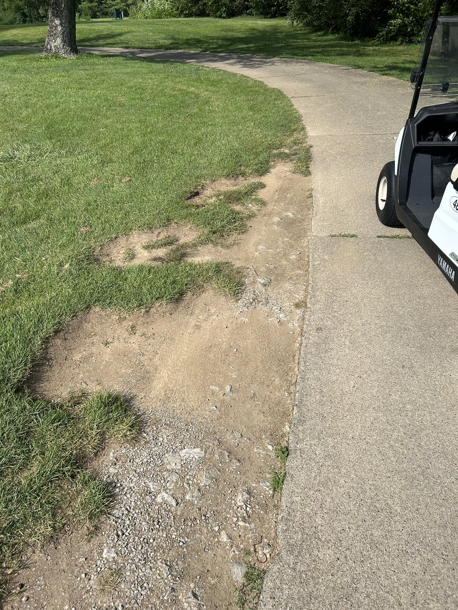 Pet peeve. Why do people need to get one foot closer to the tee or green?

#golf #golfcourse