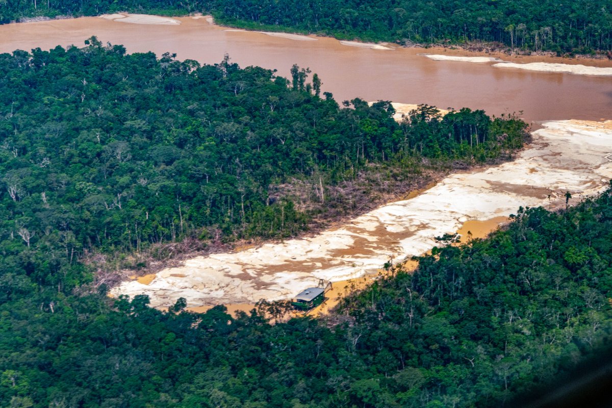 UniversoCentro's tweet photo. Cientos de hectáreas de selva han sido destruidas en busca de oro a lo largo del río Puruê. La minería ilegal a ambos lados de la frontera es un motor de destrucción ambiental e impacta la vida de las comunidades locales e indígenas. Una historia de @AmazonUworld. https://t.co/NSaJMsJcw1