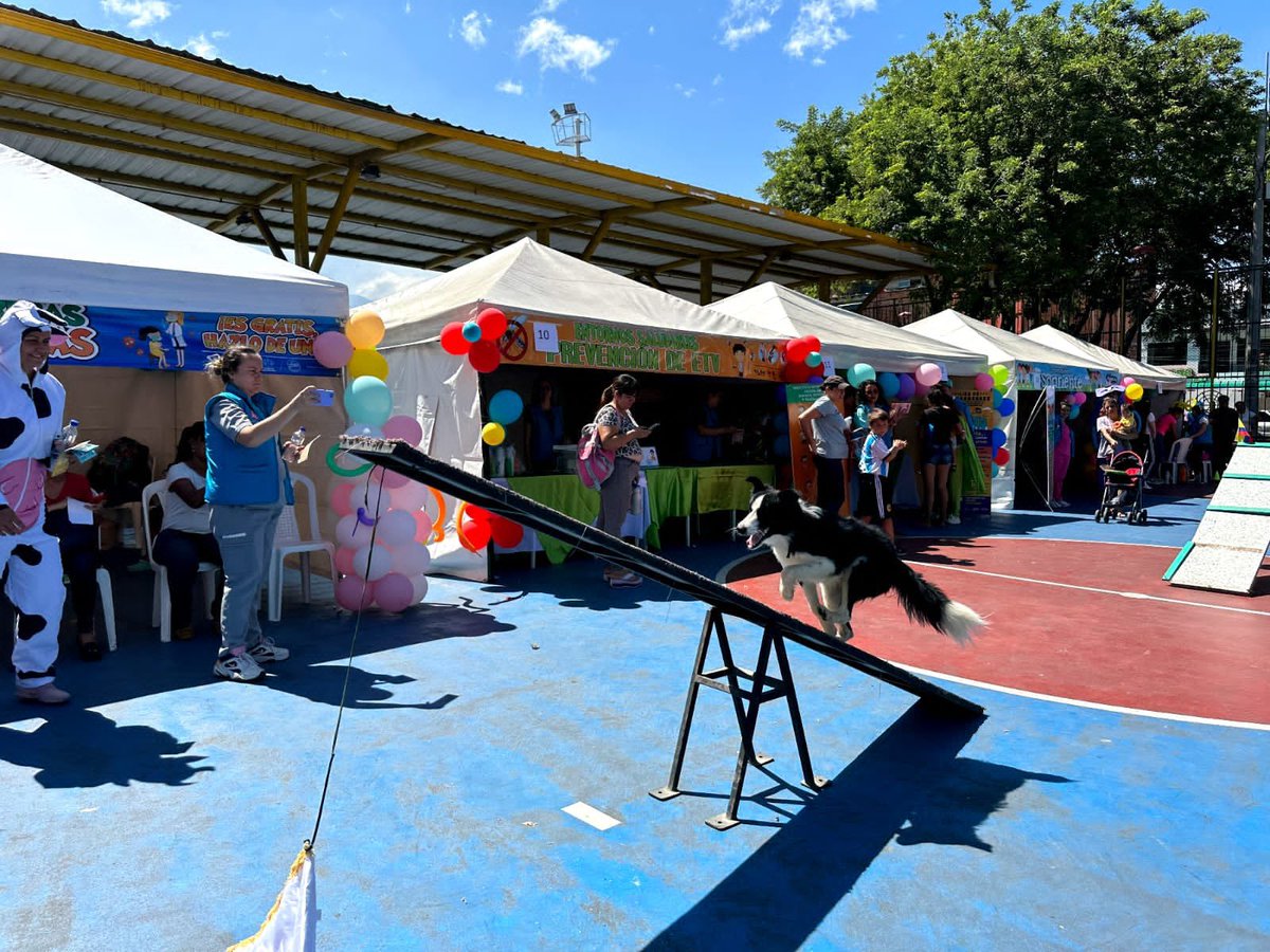 FciaVallenata's tweet photo. Con demostración de Agility de nuestro amigo de 4 patas 🐾 #BICAL y apoyo de componente lúdico, #Soldados del Batallón Caldas participaron en la #JornadaDeSalud organizada Por @SaludBGA_ y @EseIsabu que beneficio a más de 300 personas del barrio Girardot en #Bucaramanga https://t.co/Ac4WNIc3RA
