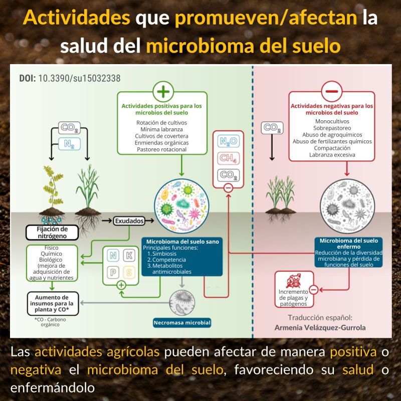 Abro #Hilo 1/6
con Info tomada de #ArmeniaVelazquez
Algunos procesos o manejos que llevamos a cabo en nuestra actividad #agrícola pueden afectar positiva o negativamente la #VidadelSuelo y en general el funcionamiento del #agroecosistema
