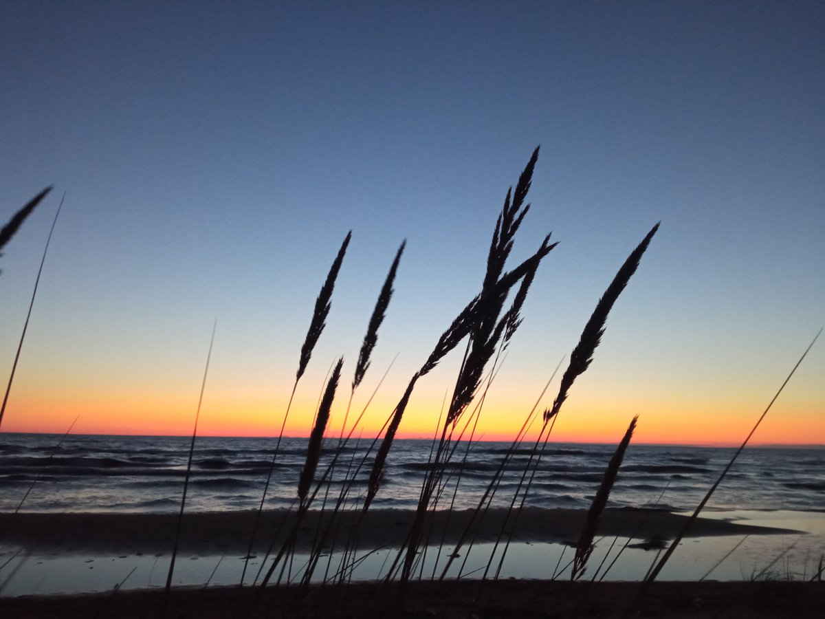 Kristinesk2 (@kristinesk22) on Twitter photo 