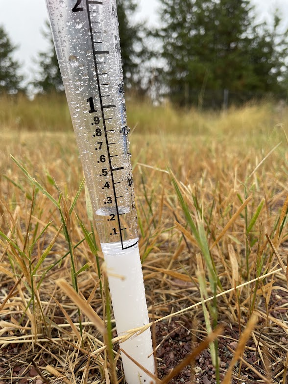 NWSMissoula's tweet photo. Over 0.20" of rain has fallen at the #ColtFire north of #SeeleyLake since 7am this morning! #mtwx Photo courtesy of the incident meteorologist Shawn Smith. https://t.co/eGnFeIVM4J