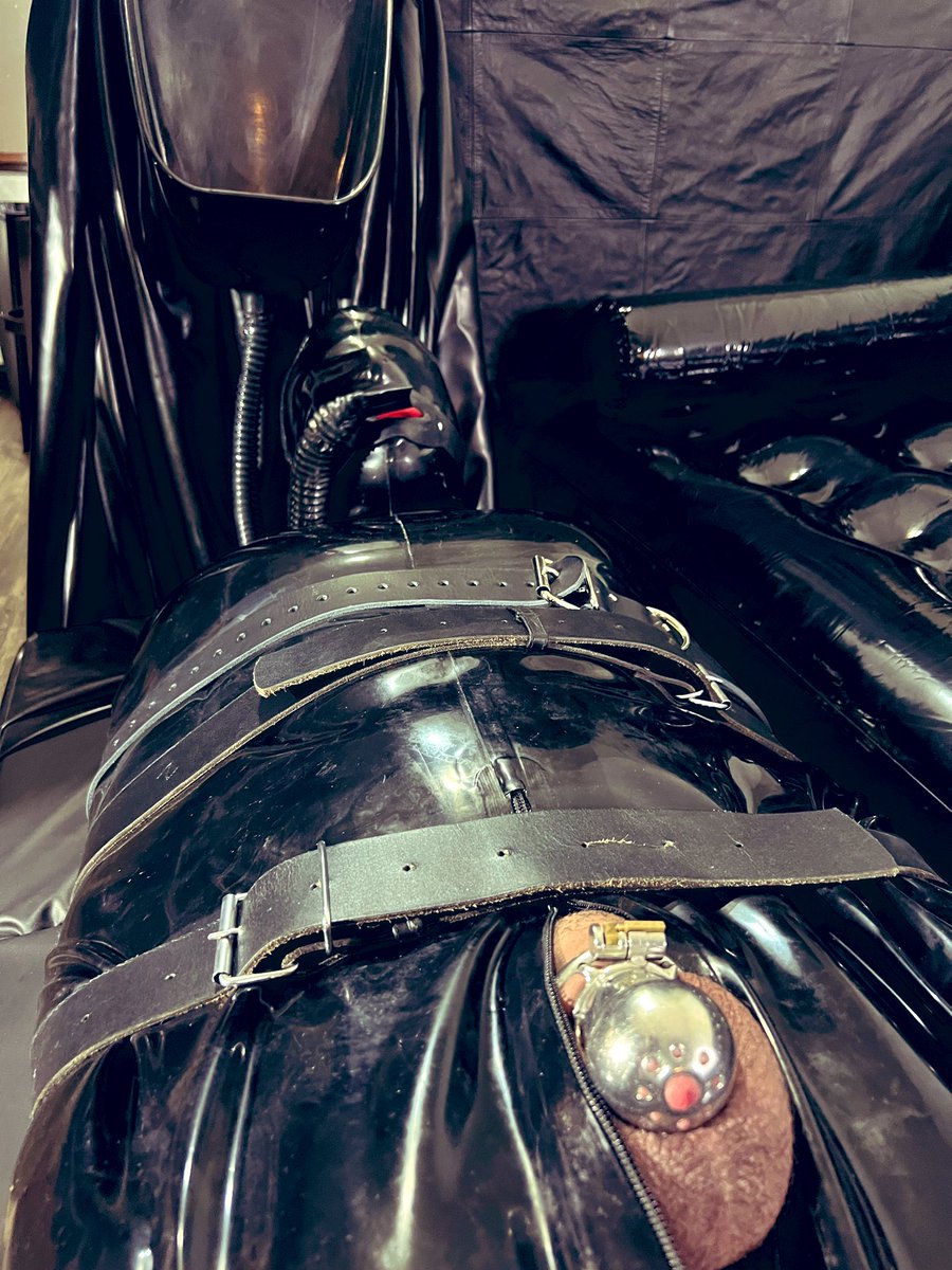 Which gimp should be fed loads and which should recycle piss? @apollogimp or @gaggedandlocked Comment below and how many loads. 😈