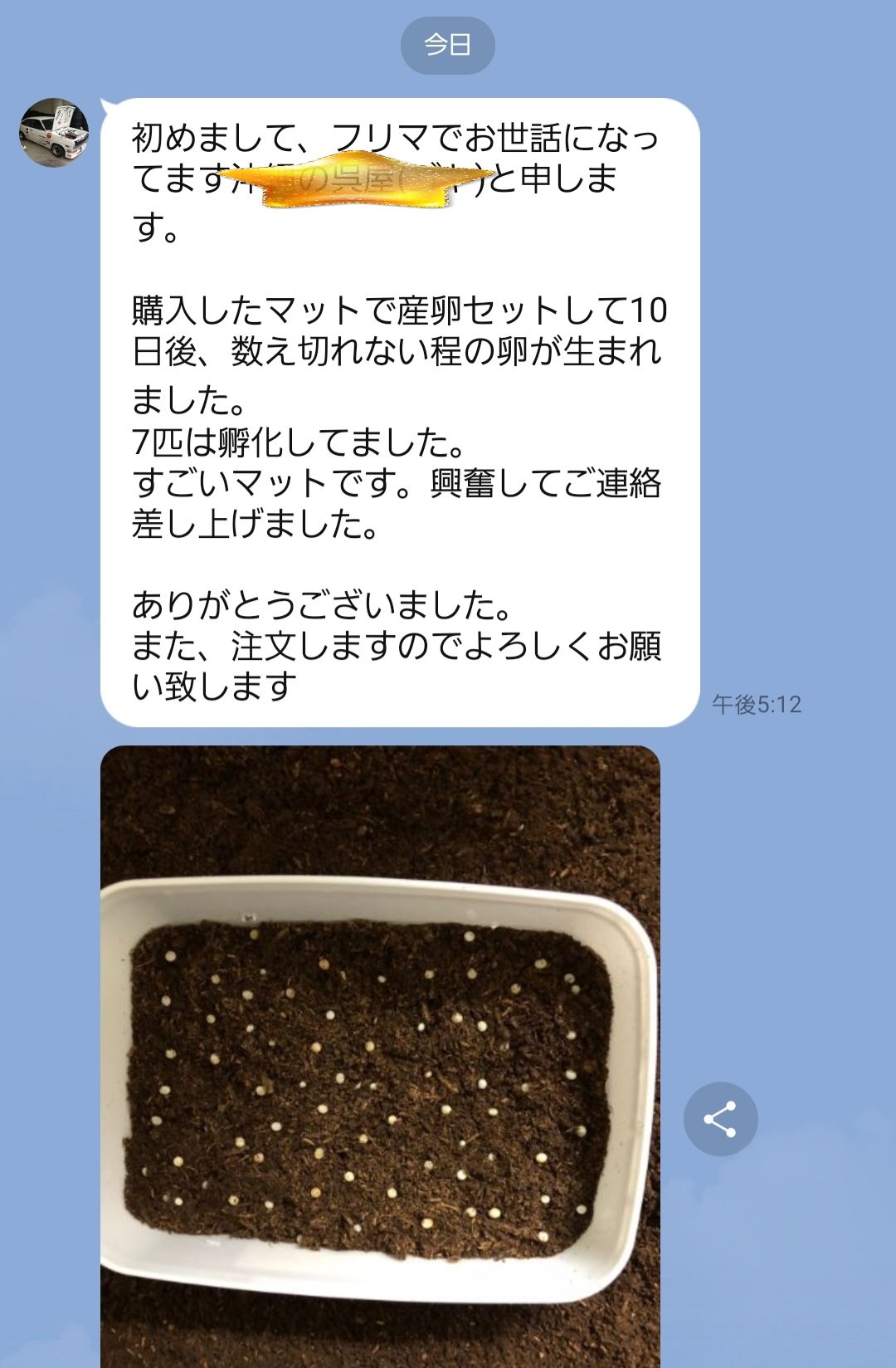 最強のカブトムシ☆クワガタマット作ってます 最強のカブトムシ☆クワガタマット作ってます
