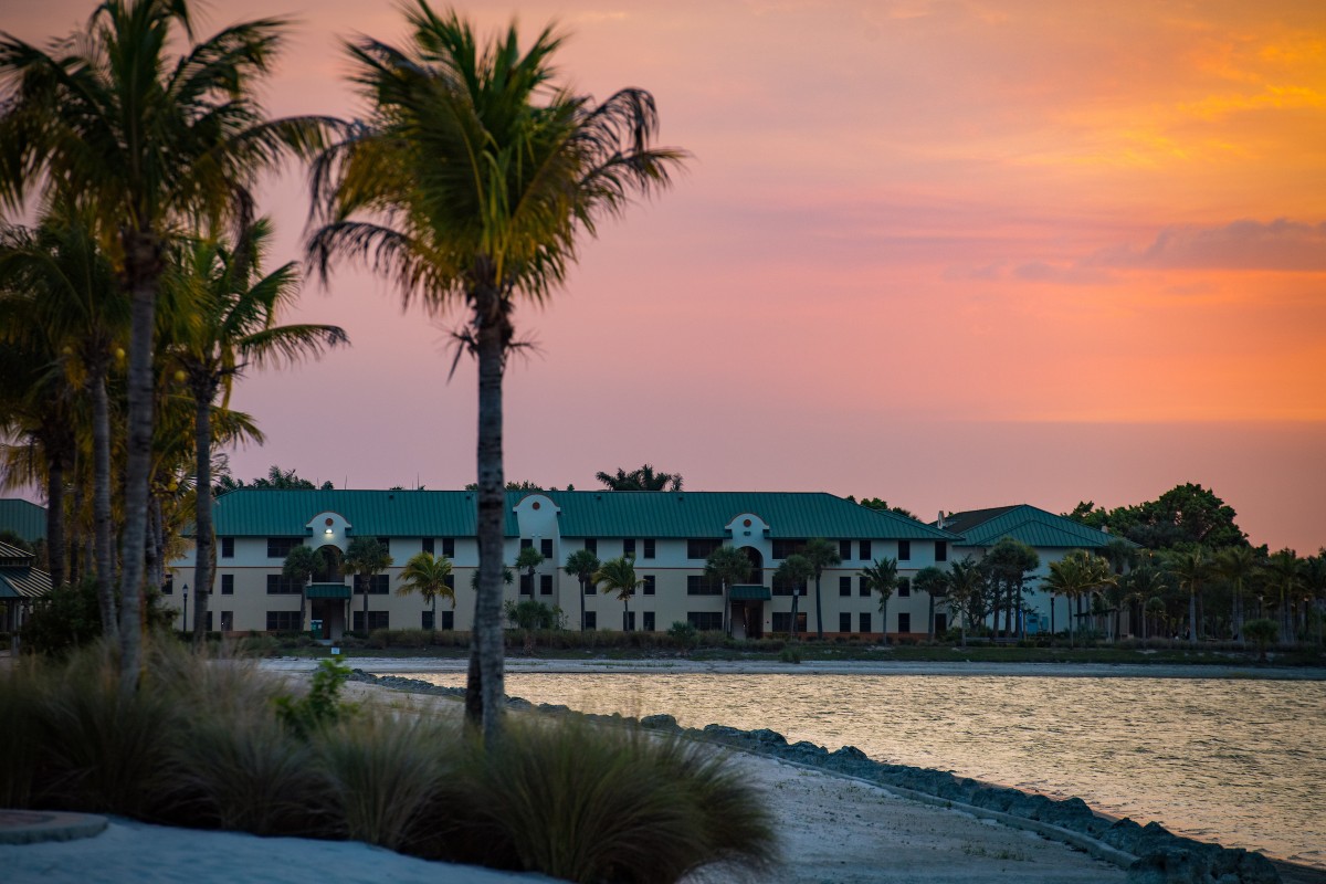 fgcu's tweet photo. Nothing compares to our #sunset vibes! 💗📸 #FGCU #Weekend #SWFL https://t.co/EEWZkhgogN