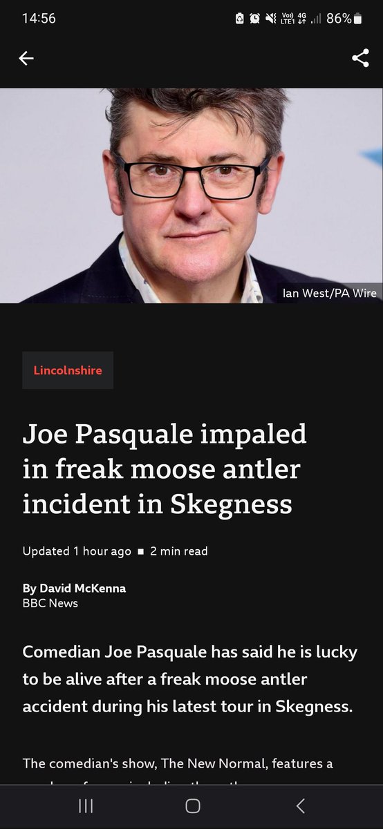 Sometimes, life is as mad as it seems #wtf