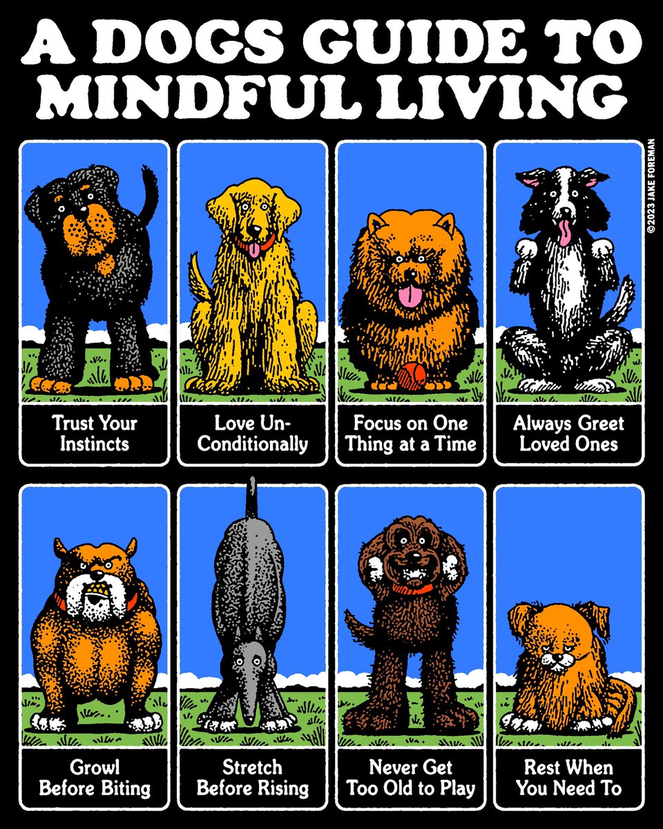🐶