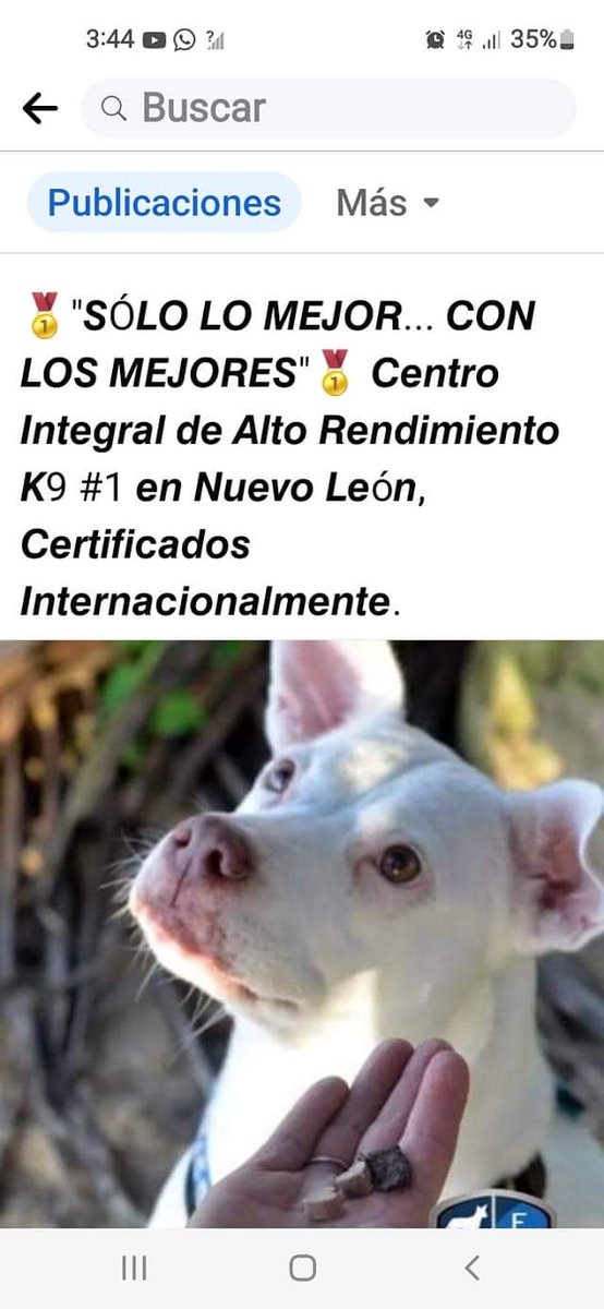Oigan como así que los clausuran y ni 2 semanas y ya están abiertos de nuevo habiendo tantos casos de maltrato y muerte de perros en este lugar?  Por qué las autoridades no hacen nada? <a href="/samuel_garcias/">Samuel García</a> <a href="/info7mty/">INFO7MTY</a> <a href="/nuevoleon/">El Gobierno de Nuevo León</a> <a href="/marianardzcant/">Mariana Rodriguez</a> <a href="/multimediostv/">multimedios tv</a> <a href="/MilenioMty/">Milenio Monterrey</a> <a href="/telediariomty/">@telediariomty</a>