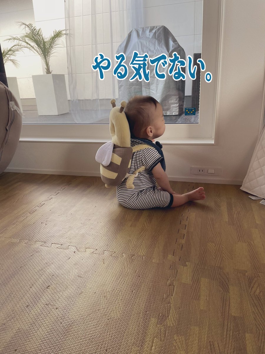 守るためにベビーゲート買ったけどリビングがこれで占領されてしまった…TV見れない笑